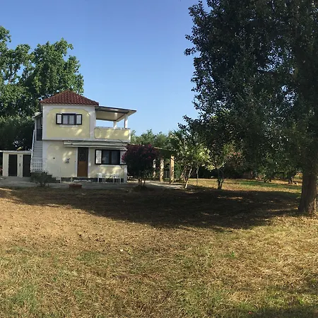 Rania / Zante Drosia * Kypseli