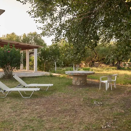 Rania / Zante Drosia Holiday home *