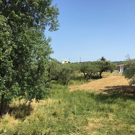 Дом отдыха Rania / Zante Drosia