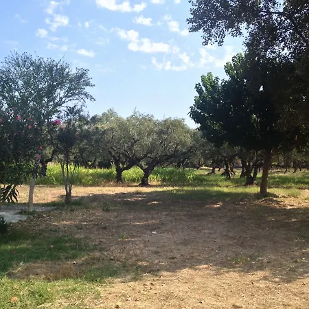 拉尼娅别墅/扎金索斯德罗西亚度假屋 基普塞利