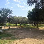 Rania / Zante Drosia Kypseli