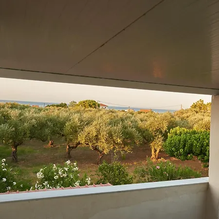 Rania / Zante Drosia Ferienhaus