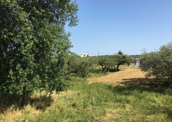 Dom wakacyjny Rania / Zante Drosia