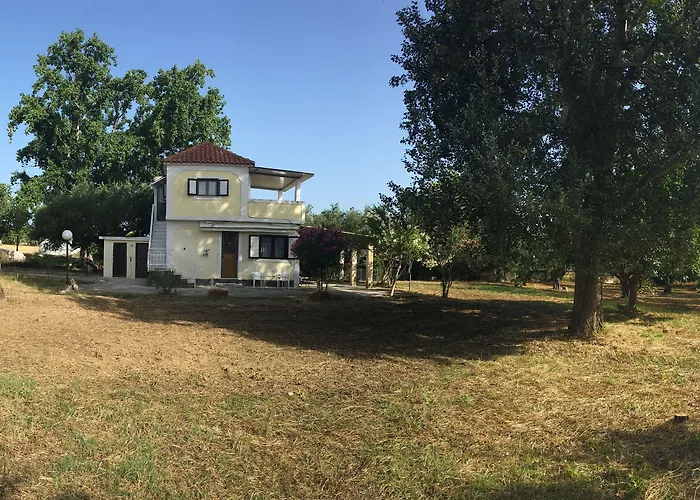 Rania / Zante Drosia * Kypseli