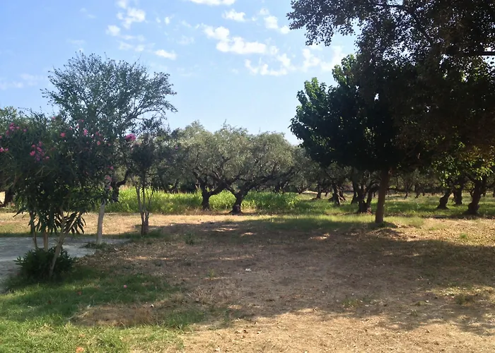 Rania / Zante Drosia Kypseli
